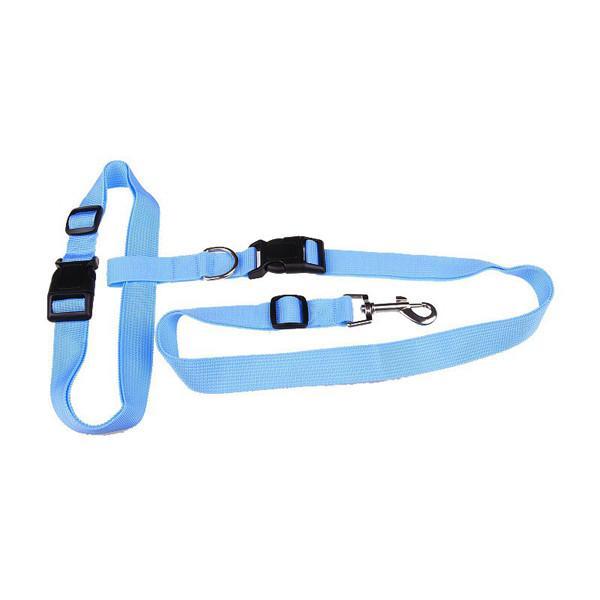 Hands Free Dog Walking Leash