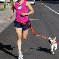 Hands Free Dog Walking Leash