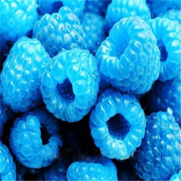 Clearance 400 Raspberry Mixed Colors Rare Friut Seeds