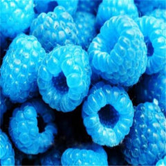 Clearance 400 Raspberry Mixed Colors Rare Friut Seeds