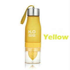 H²O Fruit Infusion Water Bottle