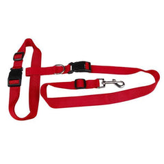 Hands Free Dog Walking Leash