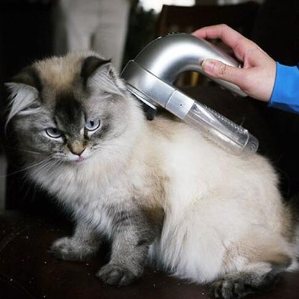 Clearance Pet Vacuum Groomer