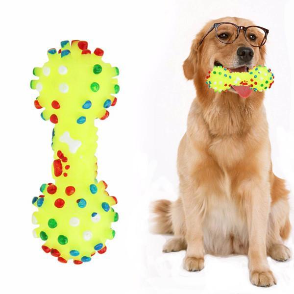 Colorful Dumbbells Dotted With Crumpled Dog Toys