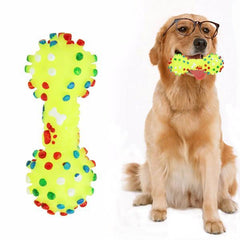 Colorful Dumbbells Dotted With Crumpled Dog Toys