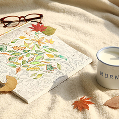 Clearance Stress Relieve Adult Coloring Book